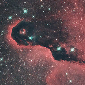 象の鼻星雲