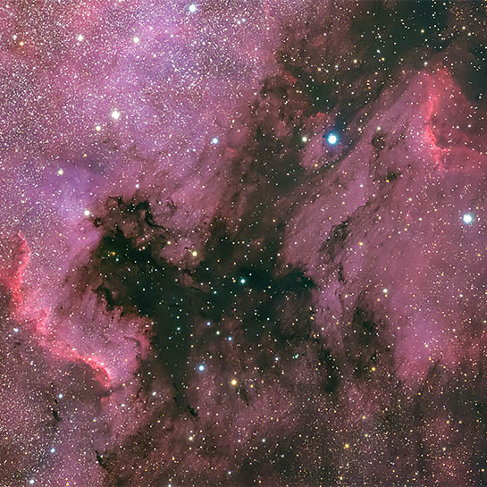 北アメリカ星雲／ペリカン星雲